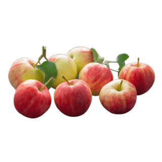 Organic Apples