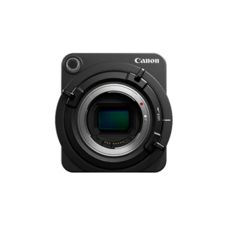 Aenean non pellentesque mauris